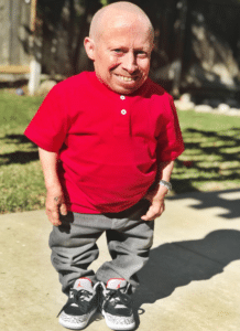 Verne Troyer